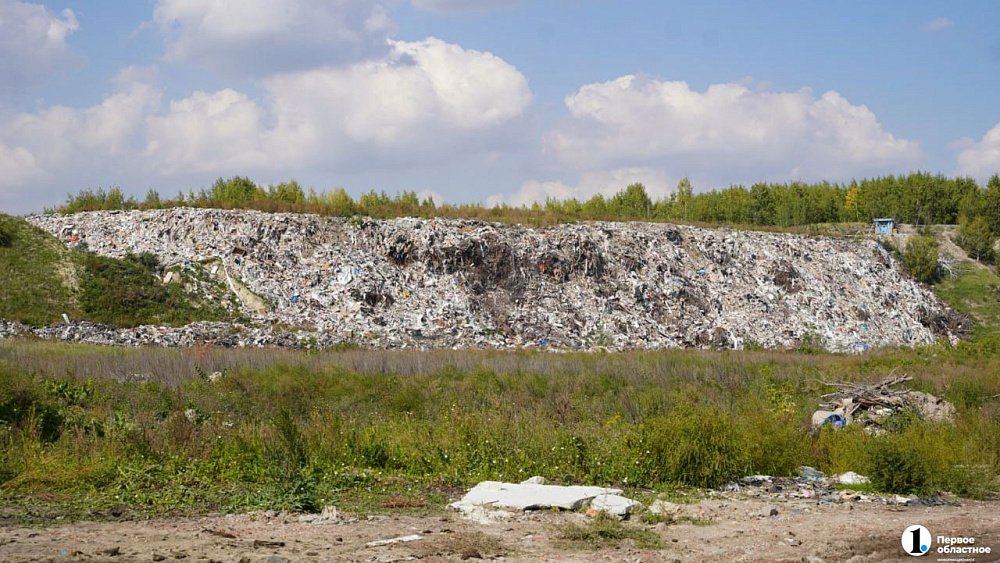 Мэрию Еманжелинска обязали расчистить несанкционированную свалку