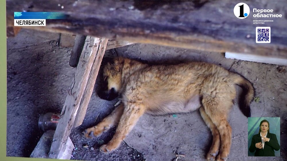 К юбилею региона открыли фотовыставку «Мы вместе»