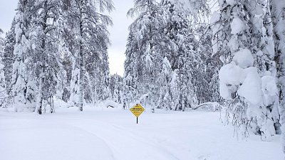 Высота сугробов в нацпарке Зигальга выросла до 1,2 метра