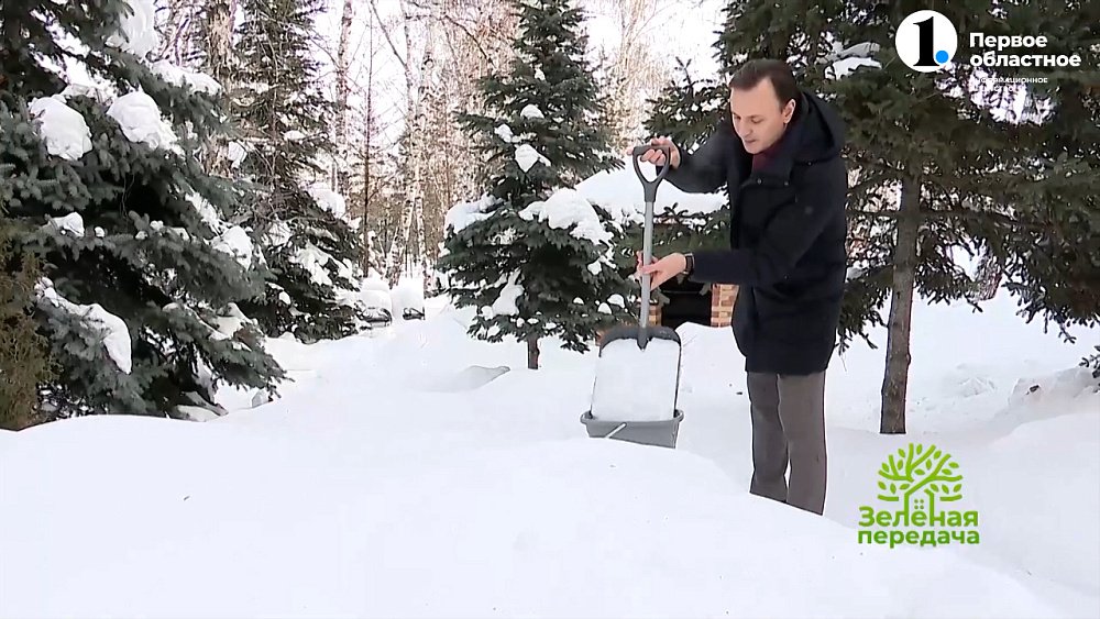 Талая вода — живая вода