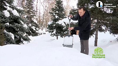 Талая вода — живая вода
