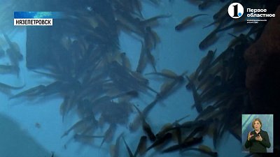 Южноуральским подросткам рассказали, как разводят форель