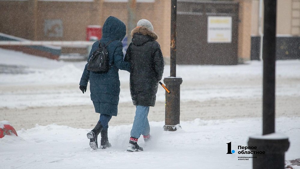 Жителей Челябинской области предупредили об обильных снегопадах