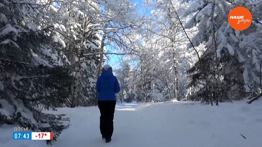 Как не замерзнуть в зимнем лесу? — в рубрике «Сами справимся»