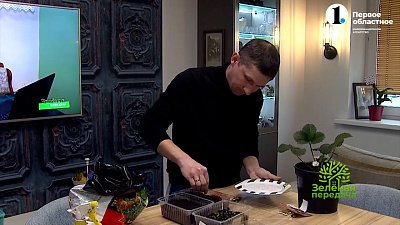 Хлопоты садовода в феврале: домашние заботы