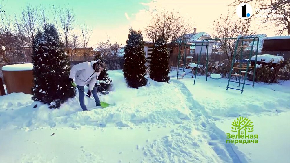 Хлопоты садовода в феврале: спасаем сад и растения от снега