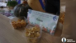 Студенты 6 вузов Челябинска отметили Татьянин день вместе с ректорами