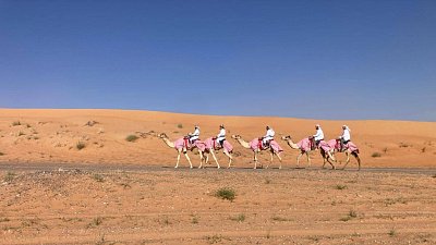 Федор Конюхов отправился в двухнедельное путешествие по ОАЭ