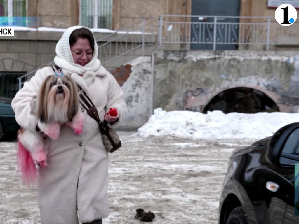 джаст дэнс батл. современные роботы. роботы нового поколения 2021. повторять движения за человеком. робот танцует.