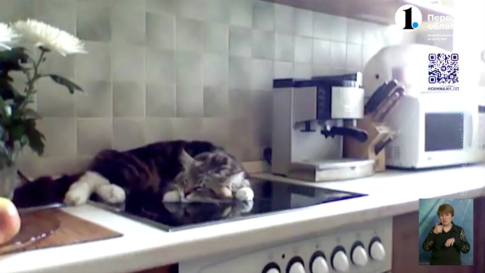 Животные и пожар: основные правила безопасности