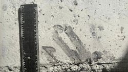 В Челябинске раскрыли убийство и изнасилование девушки, совершенные более 20 лет назад