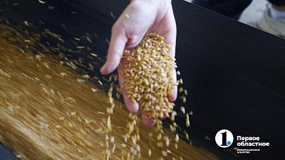 Южноуральские аграрии пополнили госфонд зерна на 63 тысячи тонн