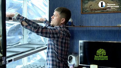 Рассада будет вам благодарна