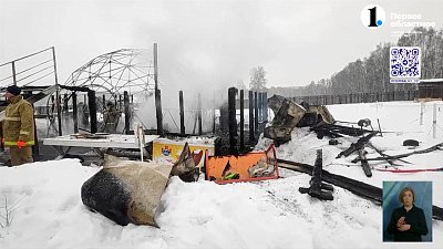 Под Чебаркулем загорелся хаски-центр