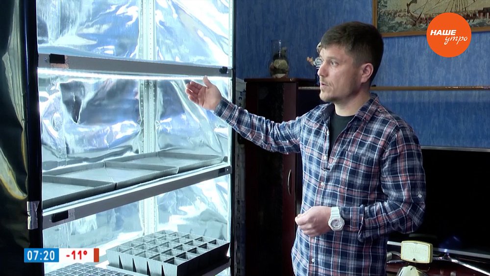 Рассада будет довольна в рубрике «Руки садовода»