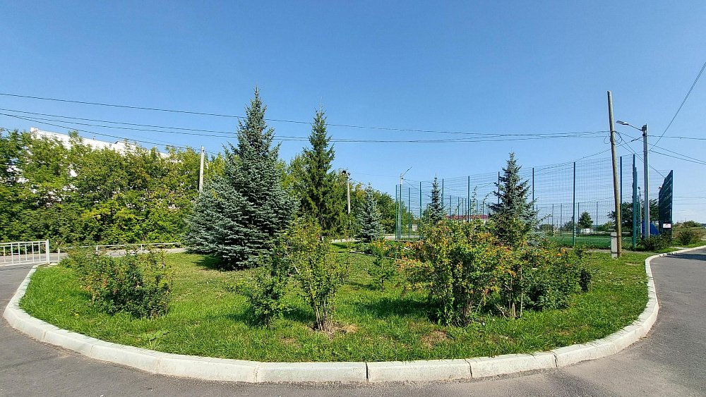 26 млн рублей направят на озеленение южноуральских городов в 2024 году