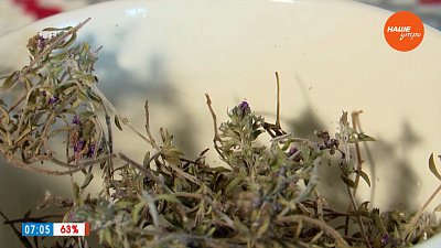 Чай с чабрецом в рубрике «Время пить чай»