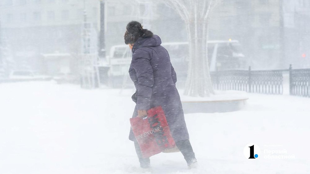 Жителей Челябинской области предупредили об обильных снегопадах и штормовом ветре