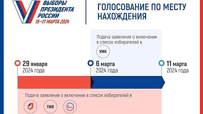 4500 южноуральцев подали заявления о голосовании на выборах президента по месту нахождения