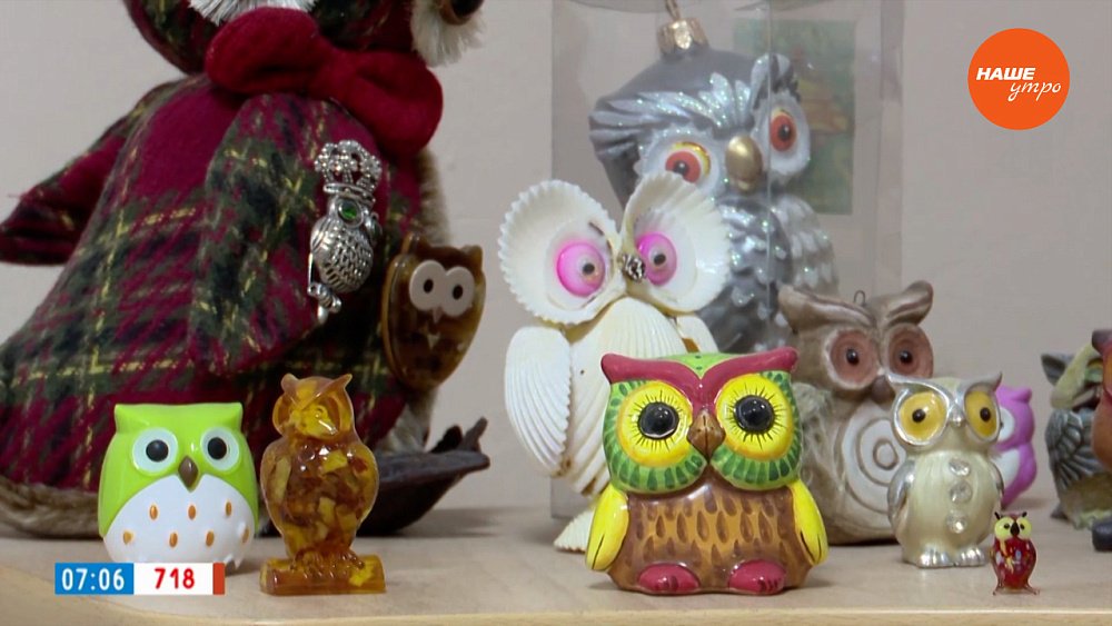 Большой пернатый переполох в сюжете «Опека над совиной семьей»