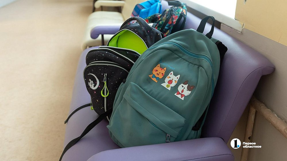 В снегопад челябинцы могут сами перевести школьника на дистант