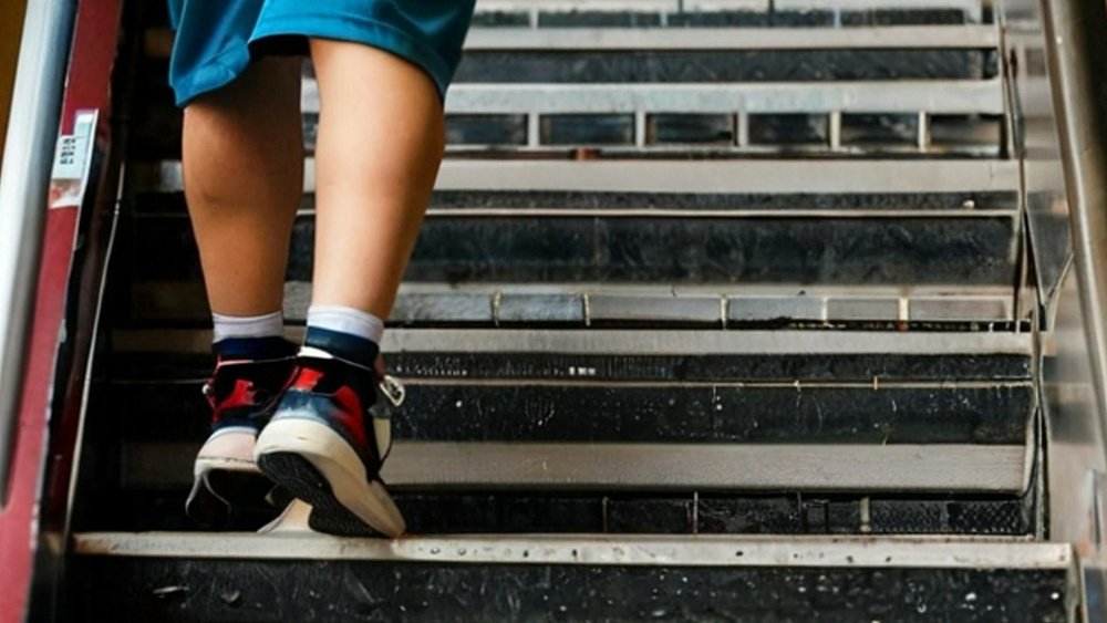 Как лестница может выявить патологии сердца и мозга