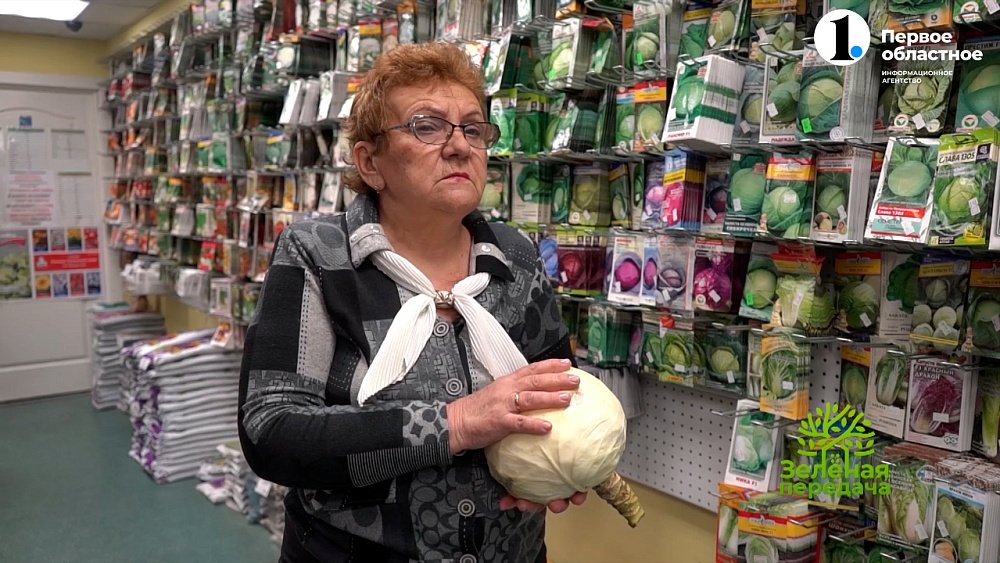 Капуста для квашения и длительного хранения