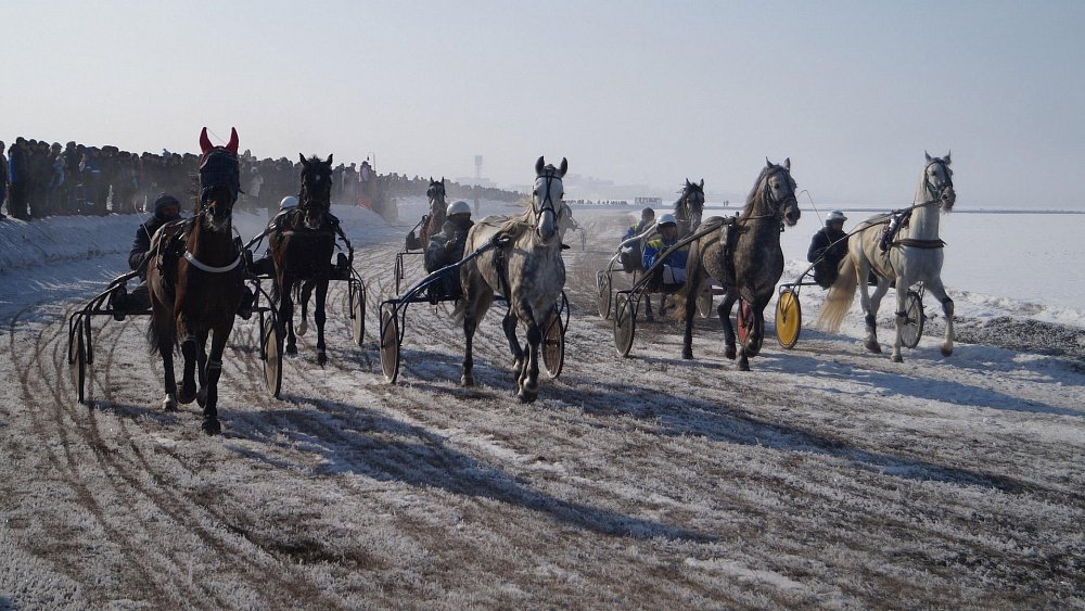 В Верхнеуральском районе пройдут ежегодные скачки