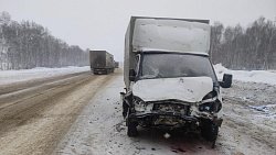 Под Челябинском пассажирка легковушки погибла в ДТП с грузовиком