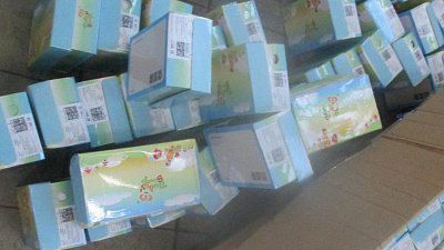 В Челябинской области остановили ввоз крупной партии контрафактной обуви