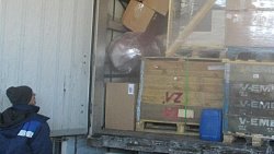 В Челябинской области остановили ввоз крупной партии контрафактной обуви