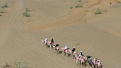 Федор Конюхов завершил первую в истории российско-арабскую экспедицию на верблюдах