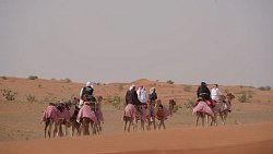 Федор Конюхов завершил первую в истории российско-арабскую экспедицию на верблюдах