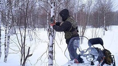 Более десяти фотоловушек установят в укромных уголках нацпарка «Зигальга»