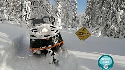 Более десяти фотоловушек установят в укромных уголках нацпарка «Зигальга»