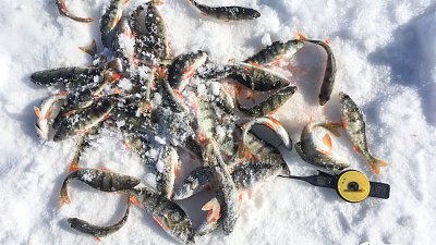 Челябинских рыбаков призвали убирать за собой мусор