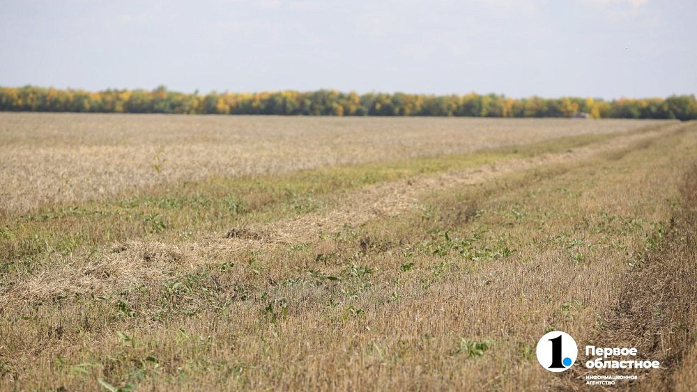 В Челябинской области готовят к изъятию 20 участков сельскохозяйственных земель