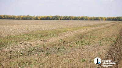 В Челябинской области готовят к изъятию 20 участков сельскохозяйственных земель