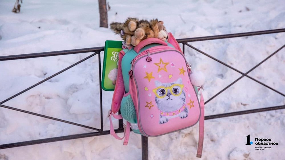 В Челябинской области из‑за морозов могут отменить занятия в школах