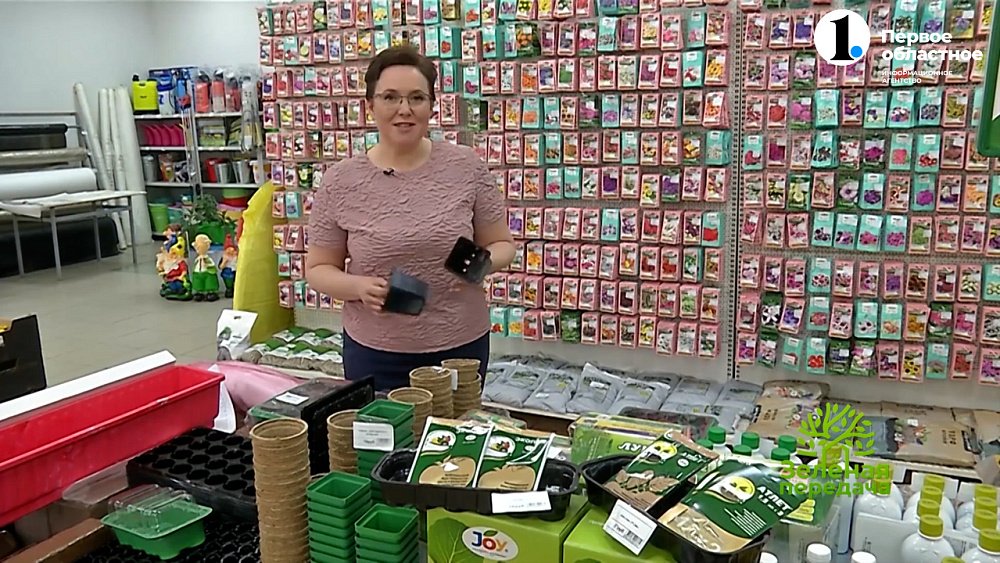 Чем обработать рассаду после пикировки?