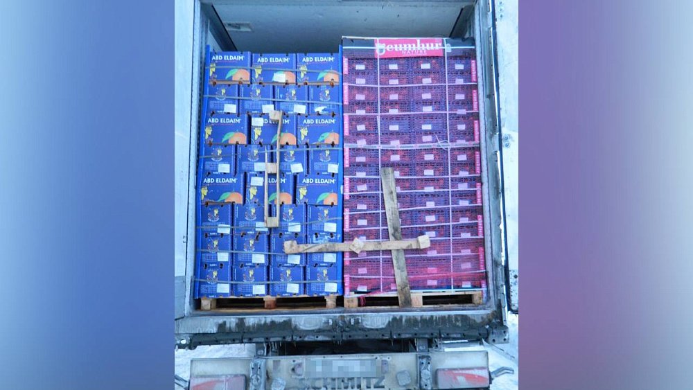 Из Челябинской области пытались незаконно вывезти две тонны апельсинов