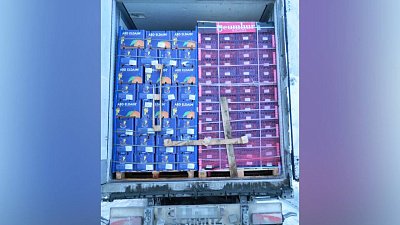 Из Челябинской области пытались незаконно вывезти две тонны апельсинов