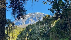 Магнитогорские разработчики роботов для космоса покорили Килиманджаро