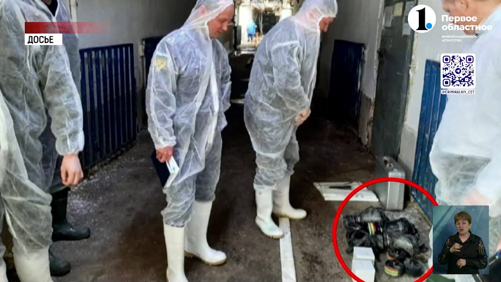 Директору клининговой компании вынесли приговор