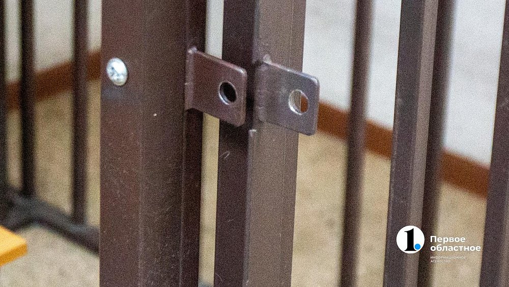 Мужчина пойдет под суд по обвинению в убийстве 11‑летней девочки в Симе