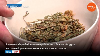 Чай из зверобоя в рубрике «Время пить чай»