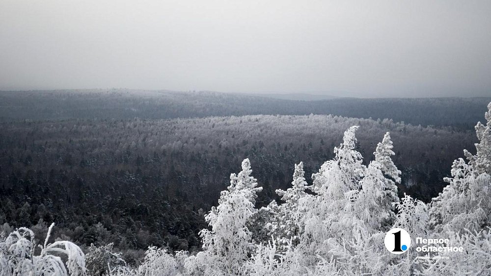 Жителей Челябинской области предупредили о сильных морозах до −41 градуса