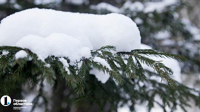 В Челябинской области продлили штормовое предупреждение из‑за 40‑градусных морозов