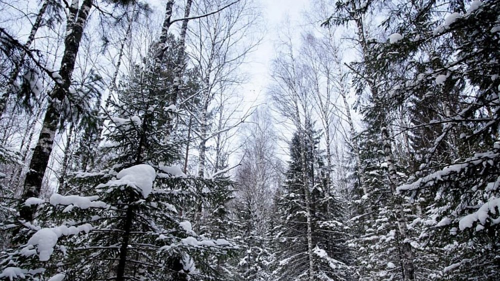 На Таганае и Иремеле заработали круглосуточные спаспосты