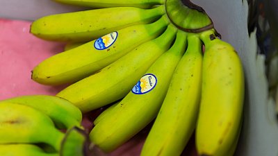 Поставщик бананов челябинскому дому-интернату указал их российское происхождение